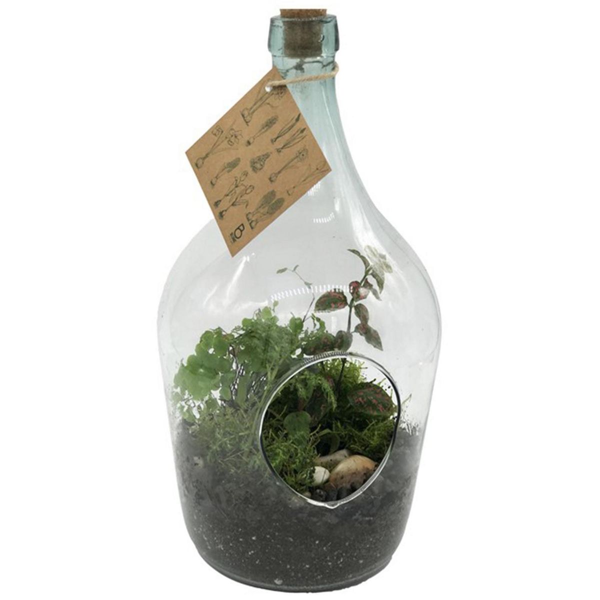 BLUME IN A POT - Terrario Botella 20 cm Natural CT