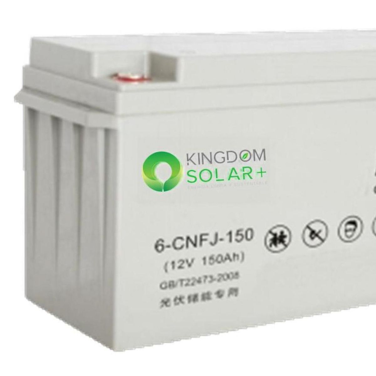 KINGDOM SOLAR - Batería De Gel Ciclo Profundo De 100Ah