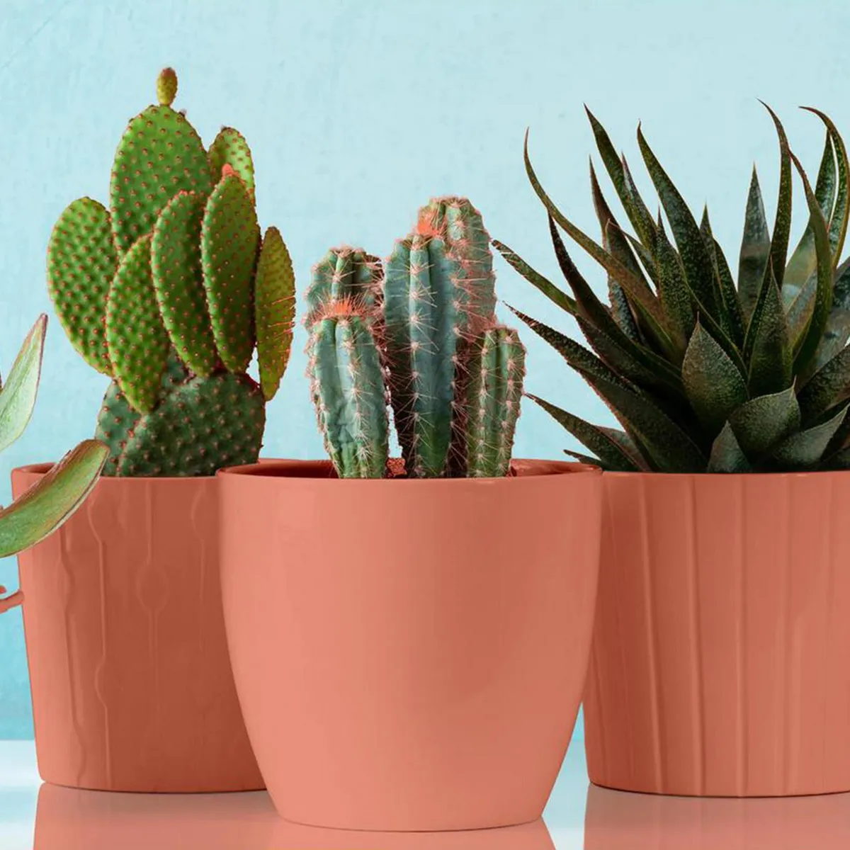 RUST OLEUM - Pintura Chalked Tizada Spray 0.437 l Mate Rosa Invierno