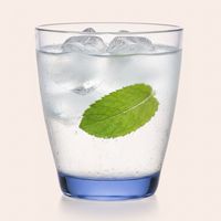 Set 6 Vasos Bajo de Vidrio 315 ml Transparente