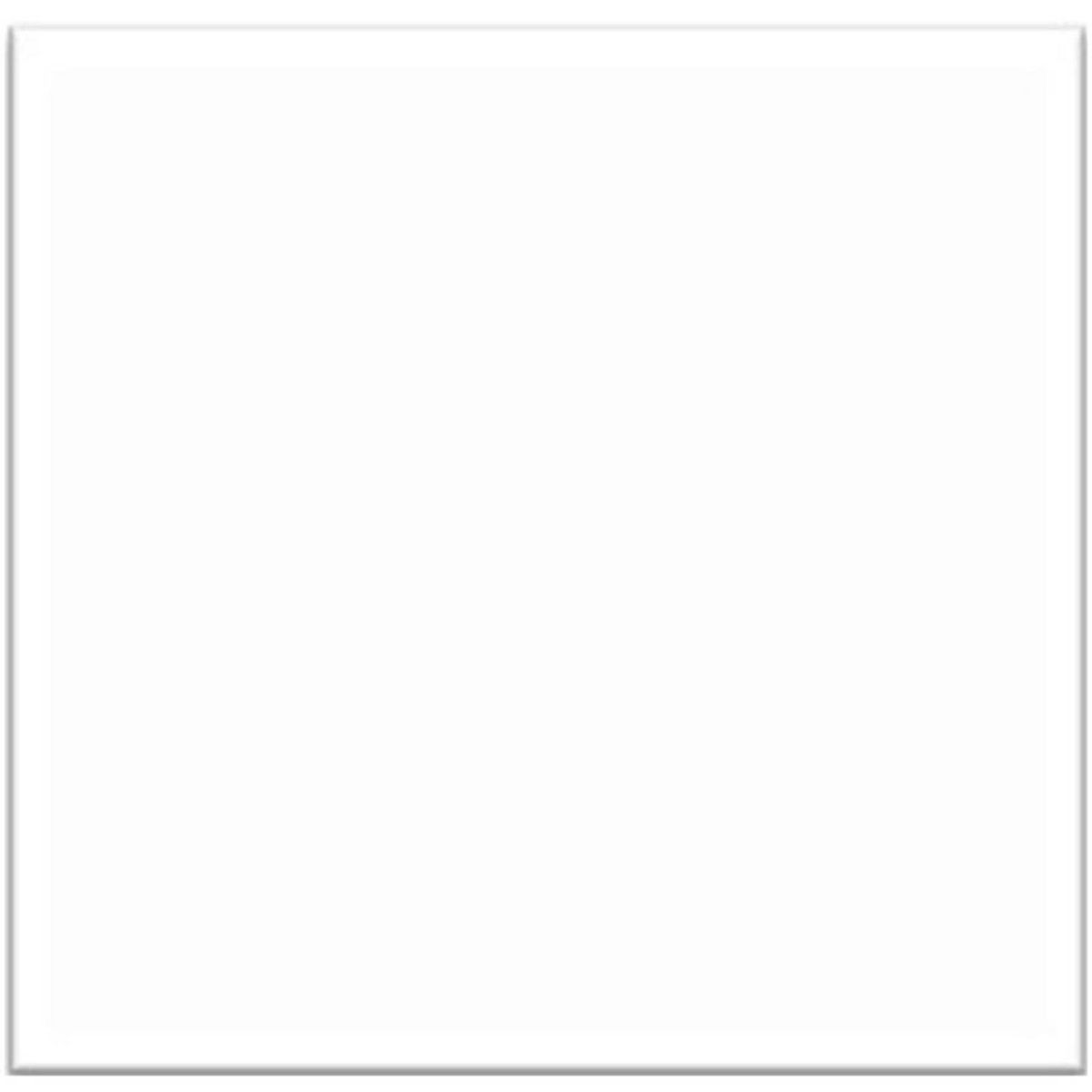 ANTIK - Porcelanato 60x60 cm RG6601G Blanco 1.44 m2