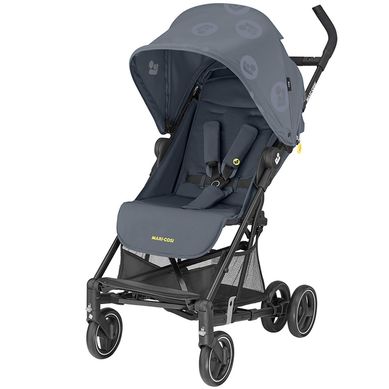 Coche Paseo Mara Brave Graph.