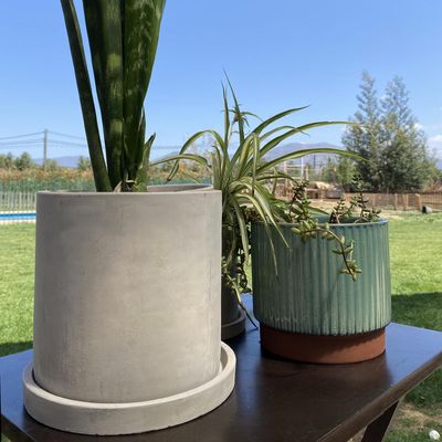 Imagen 2 del producto Set de 2 Maceteros Cemento Cilindro con Plato S 13x13cm y L 18x18 cm