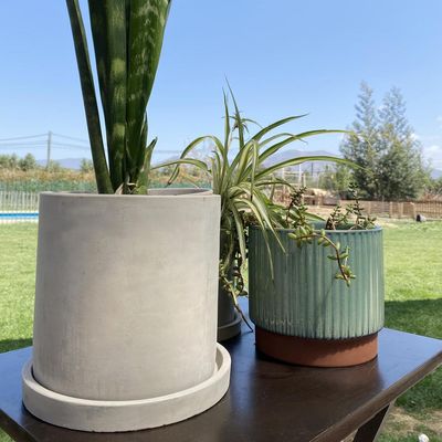 Imagen 2 del producto Set de 2 Maceteros Cemento Cilindro con Plato M 15x15cm y L 18x18 cm