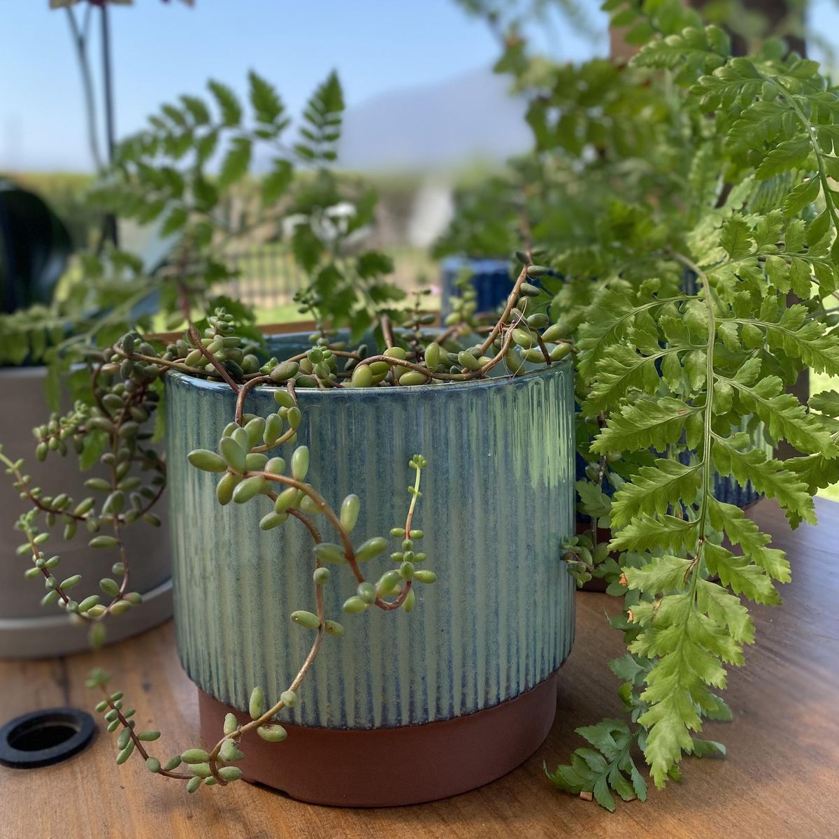 DECOGREEN - Set de 2 Maceteros Terracota Indigo S 14x12 cm y M 17x15 cm