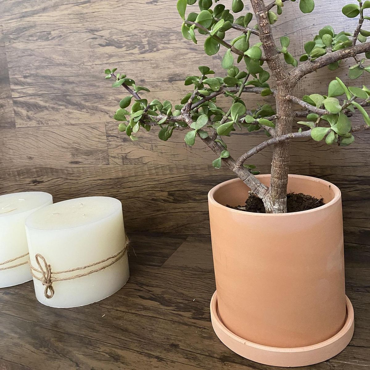 DECOGREEN - Set Macetero con Plato de Arcilla 18x18 cm Terracota