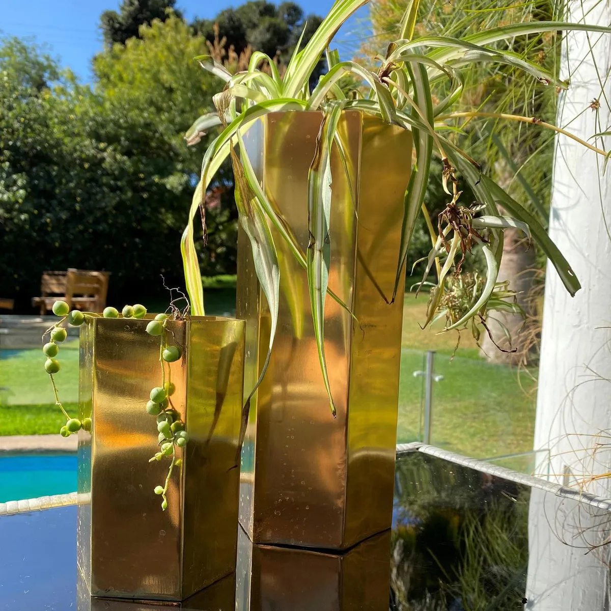 DECOGREEN - Macetero Octogonal de Metal 15.75x12.4 Dorado