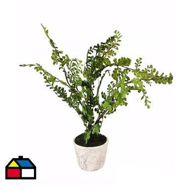 Helecho maceta gris 50cm
