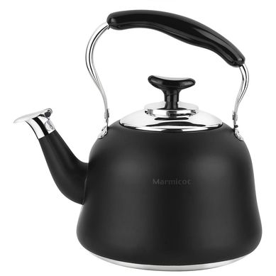 Tetera acero inoxidable 3 litros negro matte