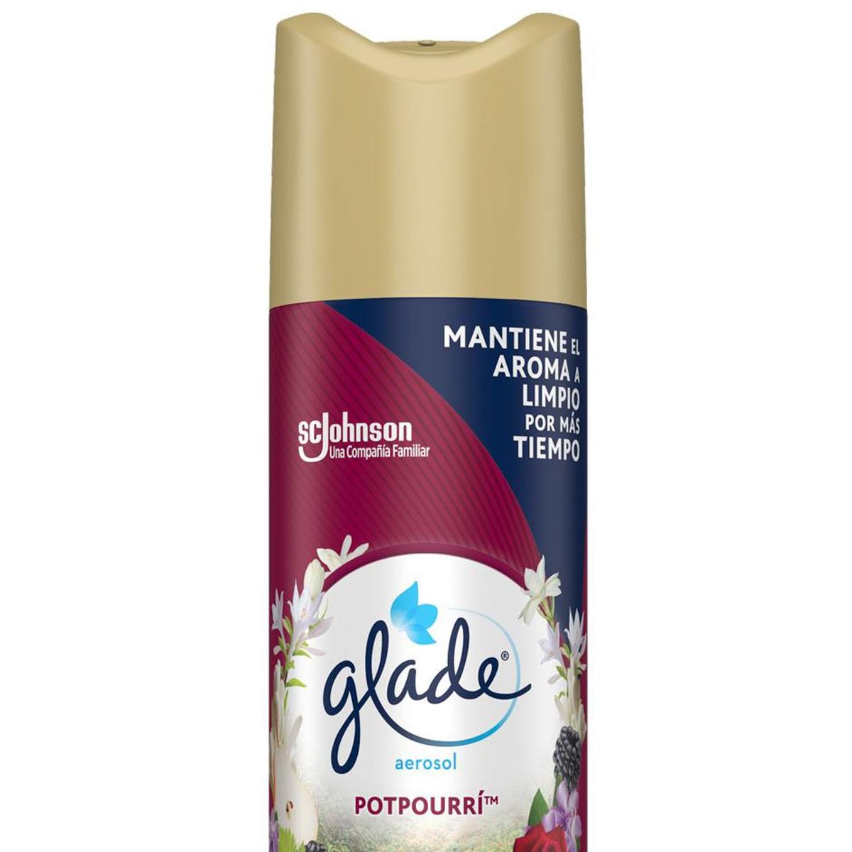 GLADE - Desodorante Aerosol Potpurri 0.36 l