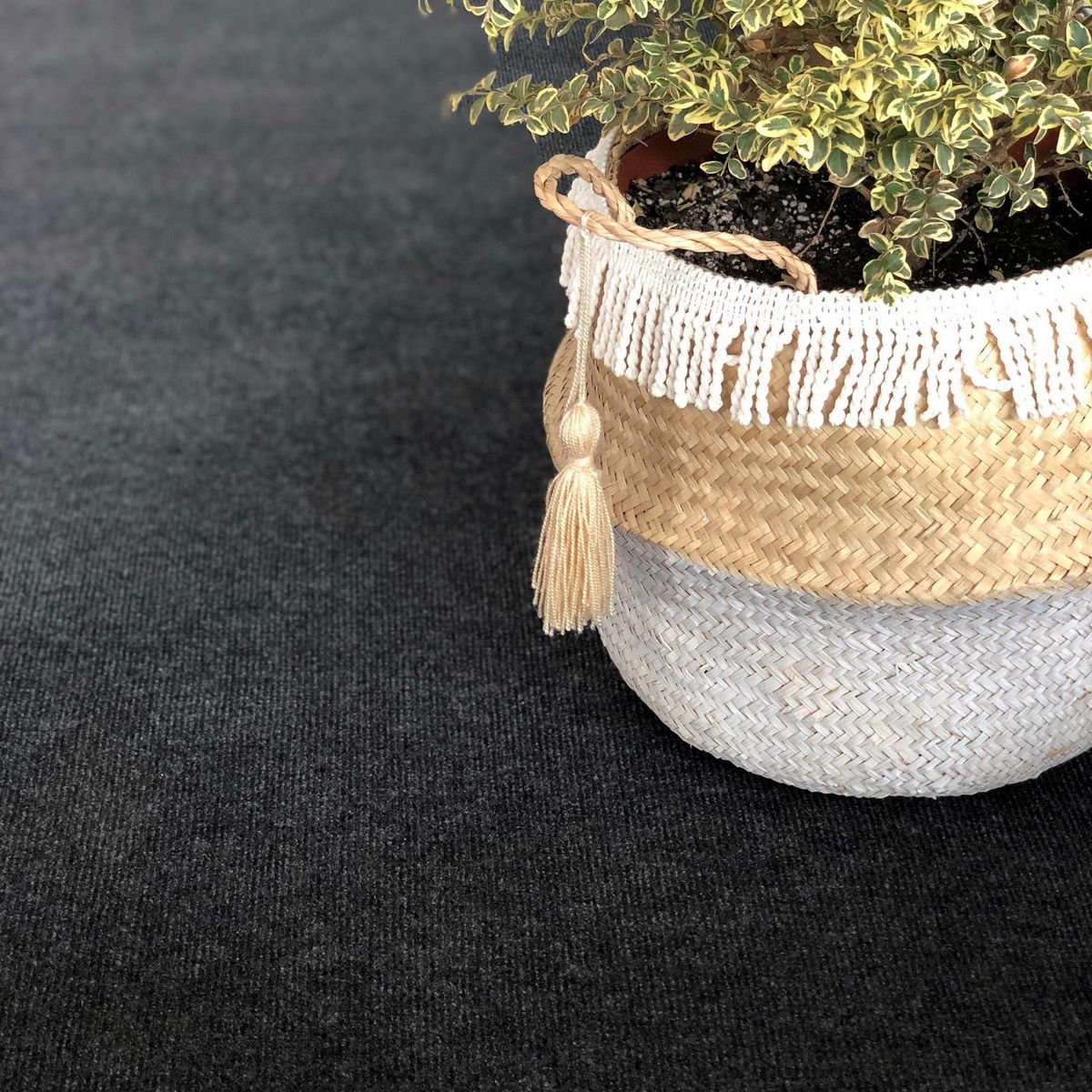 GEOTEX - Cubrepiso 24m2 Gris Oscuro Premium