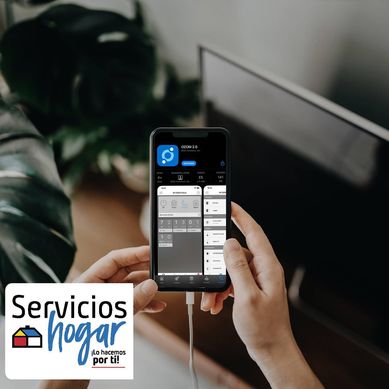 Asesora Virtual 1 hora