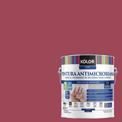 Pintura Antimicrobiana Semibrillante 1 galn(es) Fucsia Kalasin 