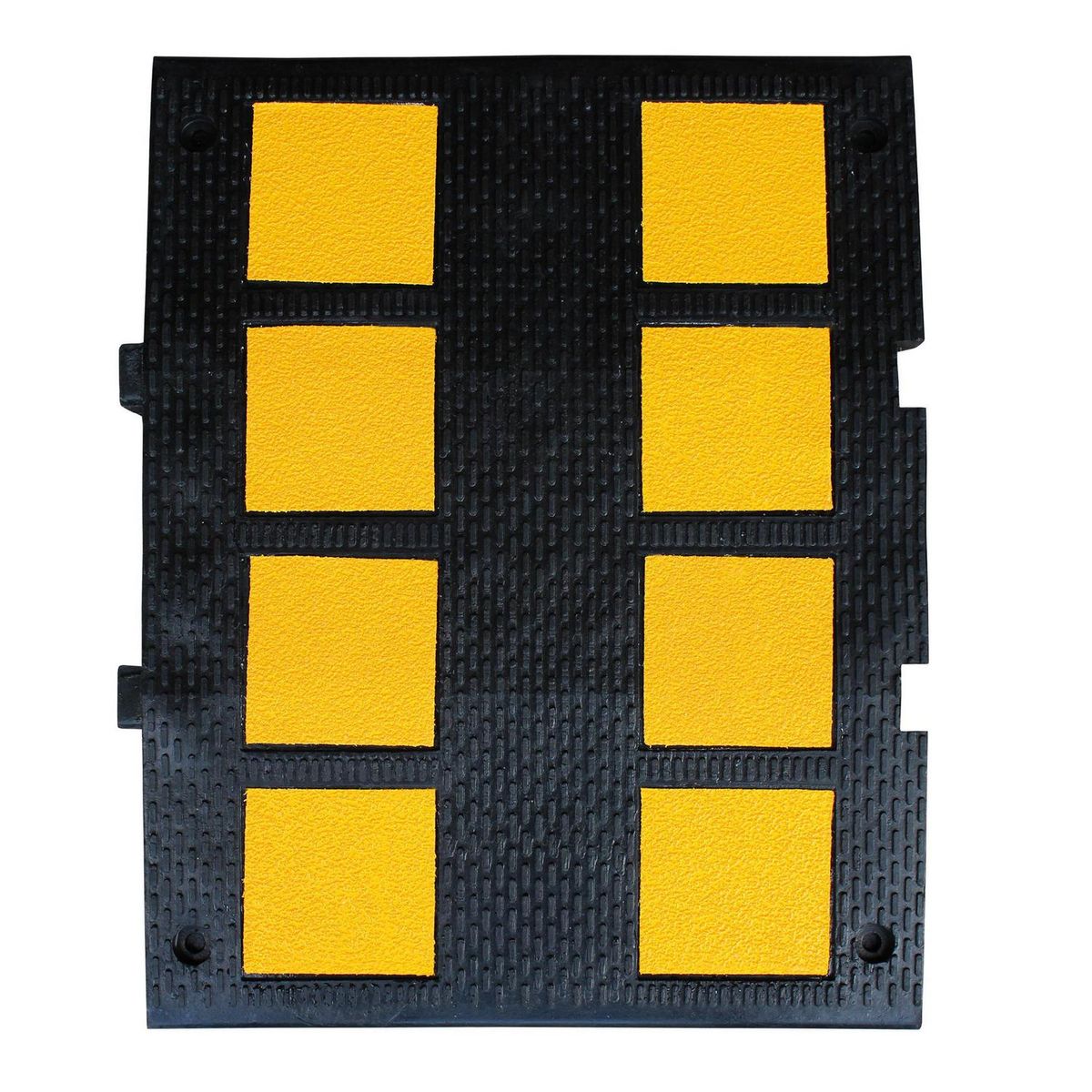 SIGNET CLASSICS - Lomo de Toro Premium 60 cm