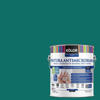 Pintura Antimicrobiana Semibrillante 1 galn(es) Verde Kake 