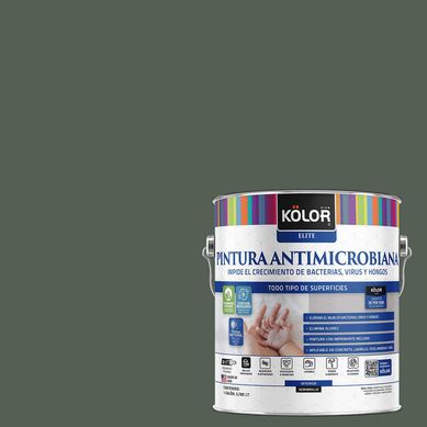 Pintura Antimicrobiana Semibrillante 1 galn(es) Verde Canillo 