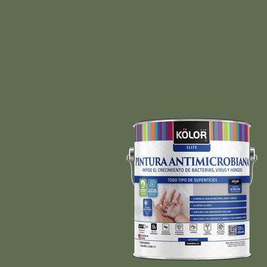Pintura Antimicrobiana Semibrillante 1 galn(es) Verde Tirupati 