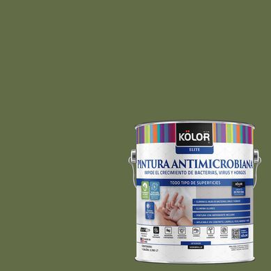 Pintura Antimicrobiana Semibrillante 1 galn(es) Verde Hollis 