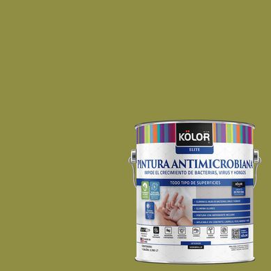 Pintura Antimicrobiana Semibrillante 1 galn(es) Verde Borgaro 