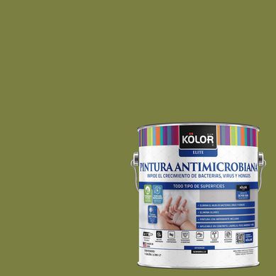 Pintura Antimicrobiana Semibrillante 1 galn(es) Verde Trinidad Y Tobago 