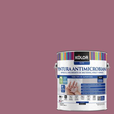 Pintura Antimicrobiana Semibrillante 1 galn(es) Prpura Lopburi 