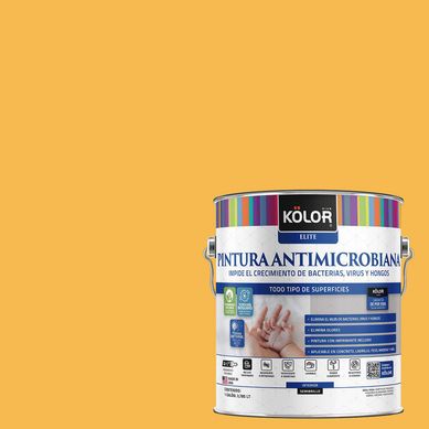 Pintura Antimicrobiana Semibrillante 1 galn(es) Naranjo Beira 