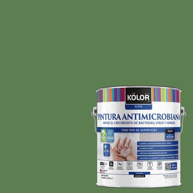 Pintura Antimicrobiana Semibrillante 1 galn(es) Verde Kamarhati 