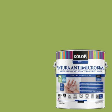 Pintura Antimicrobiana Semibrillante 1 galn(es) Verde Vadodara 
