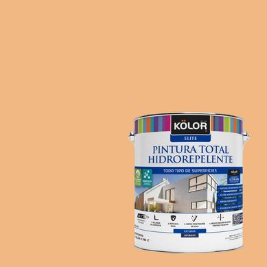 Pintura Hidrorepelente Satinado 1 galn(es) Naranjo Naha 