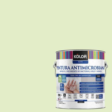 Pintura Antimicrobiana Semibrillante 1 galn(es) Verde Iwaki 