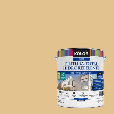 Pintura Hidrorepelente Satinado 1 galn(es) Caf Cassine 