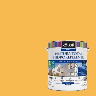 Pintura Hidrorepelente Satinado 1 galn(es) Naranjo Beira 