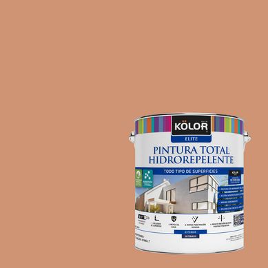 Pintura Hidrorepelente Satinado 1 galn(es) Caf Udini 