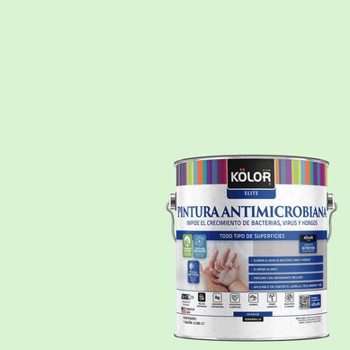 Pintura Antibacterial Semibrillante 1 galn(es) Verde Smolyan 