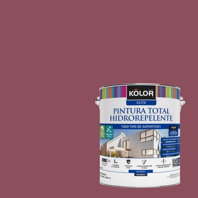 Pintura Hidrorepelente Satinado 1 galn(es) Fucsia Cabilia 