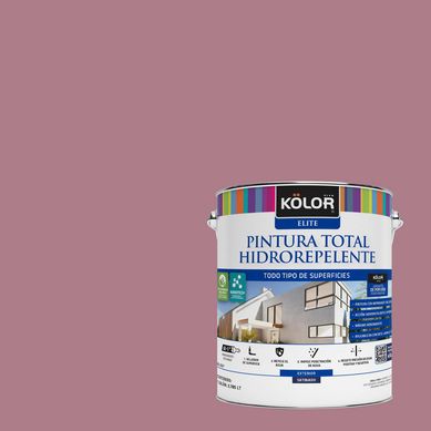 Pintura Hidrorepelente Satinado 1 galn(es) Prpura Ghana 