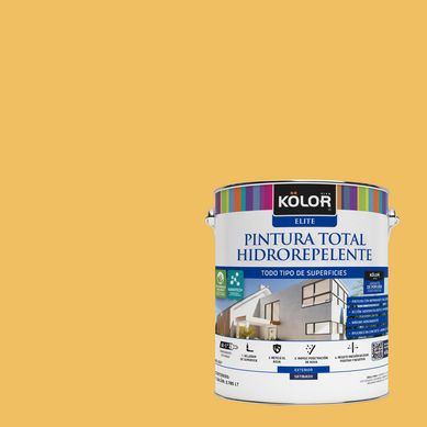Pintura Hidrorepelente Satinado 1 galn(es) Amarillo Barrow 