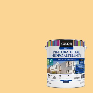 Pintura Hidrorepelente Satinado 1 galn(es) Naranjo Harare 