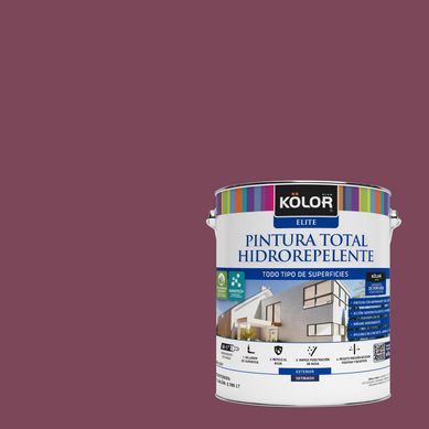 Pintura Hidrorepelente Satinado 1 galn(es) Prpura Lesotho 