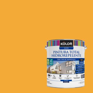 Pintura Hidrorepelente Satinado 1 galn(es) Naranjo Windsor 