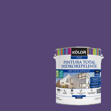 Pintura Hidrorepelente Satinado 1 galn(es) Prpura Tunapuna 