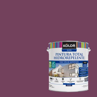 Pintura Hidrorepelente Satinado 1 galn(es) Prpura Palma 