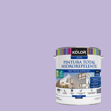 Pintura Hidrorepelente Satinado 1 galn(es) Prpura Angola 