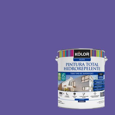 Pintura Hidrorepelente Satinado 1 galn(es) Prpura Ried 