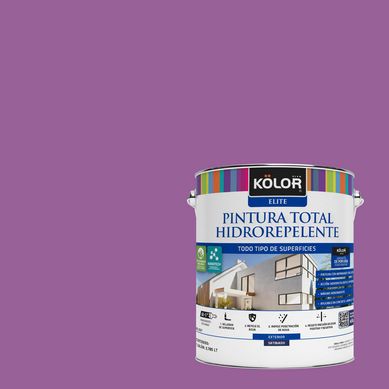 Pintura Hidrorepelente Satinado 1 galn(es) Prpura Oristano 