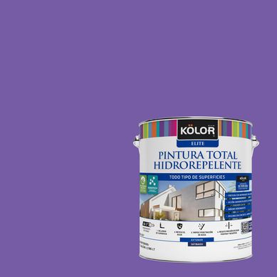 Pintura Hidrorepelente Satinado 1 galn(es) Prpura Umbria 