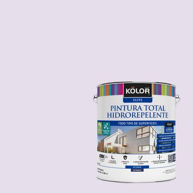 Pintura Hidrorepelente Satinado 1 galn(es) Prpura Francia 