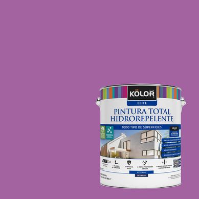 Pintura Hidrorepelente Satinado 1 galn(es) Prpura Panipat 