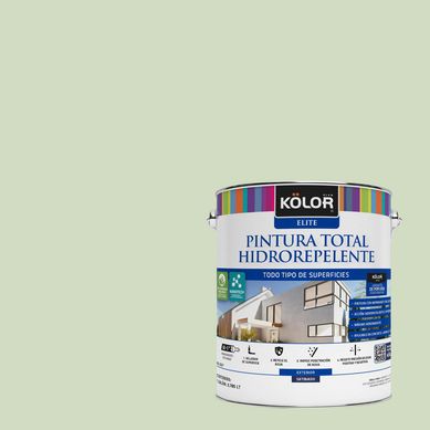 Pintura Hidrorepelente Satinado 1 galn(es) Verde Tumkur 