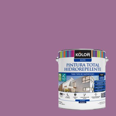 Pintura Hidrorepelente Satinado 1 galn(es) Prpura Etiopia 